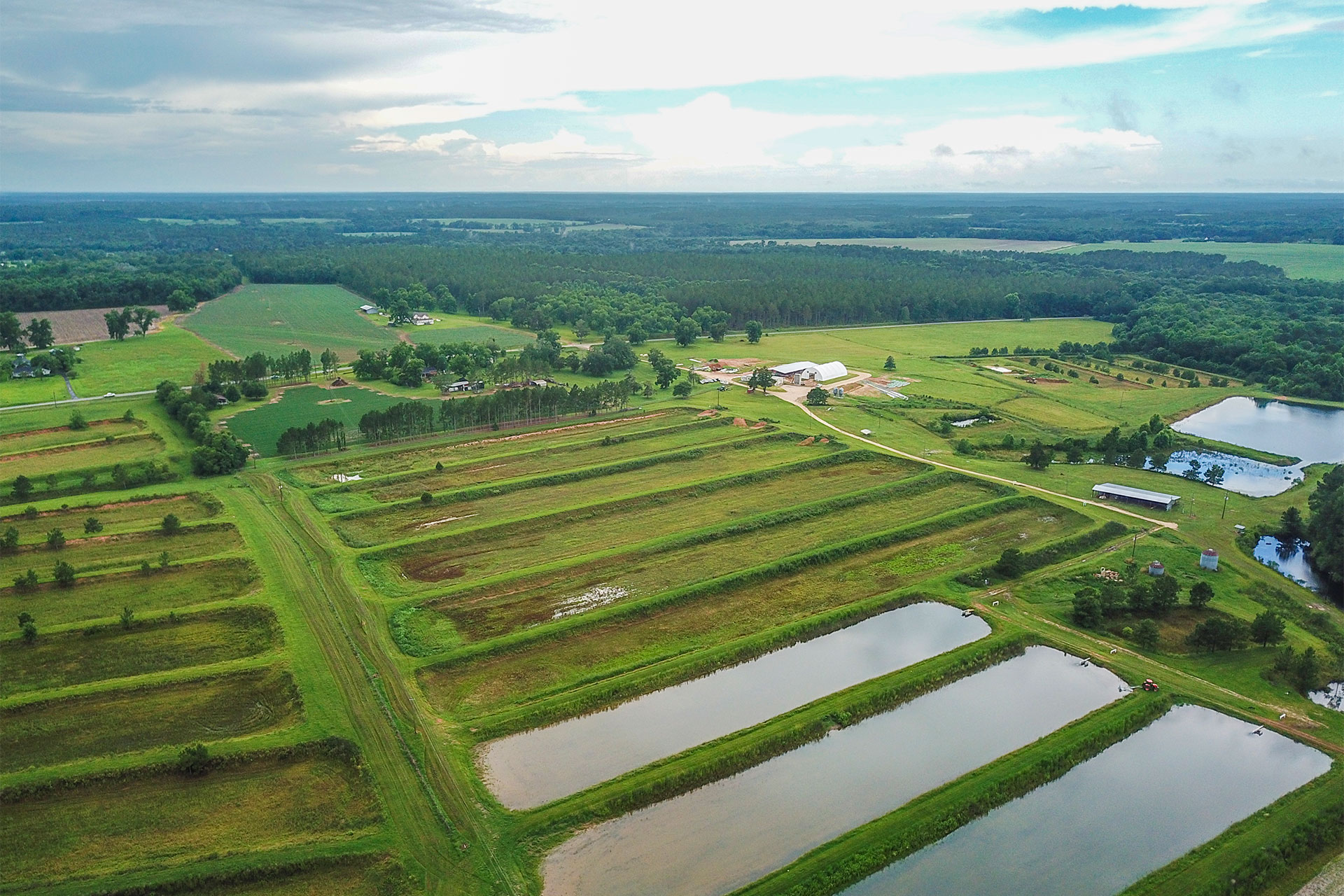 Boston GA Fishery 16